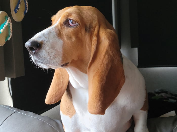 Michelle Staff Photo