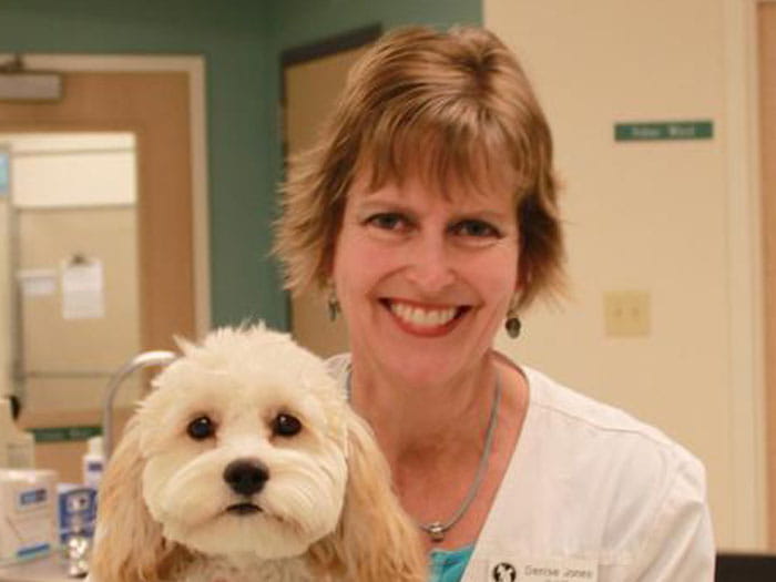 Dr Denise Jones Henninger