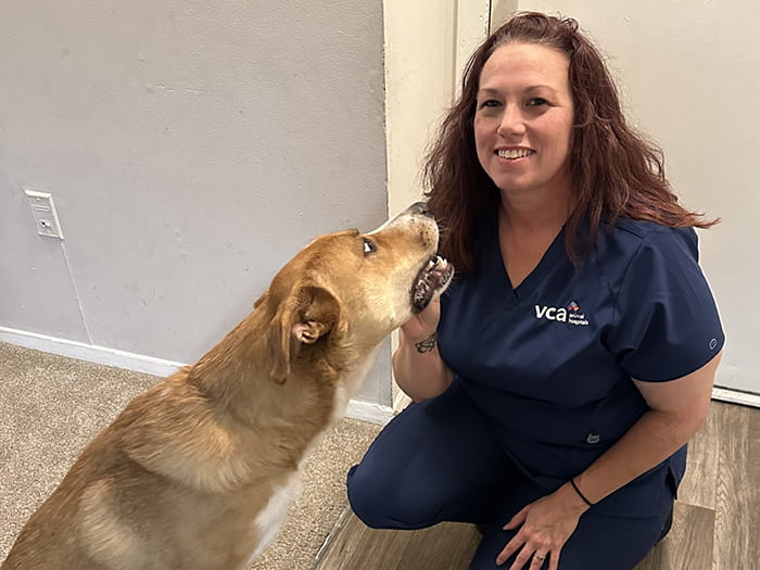 Missy Bowling Staff Photo