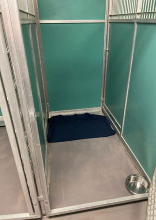 VCA SylvaniaVET Animal Hospital Dog Boarding Full Run