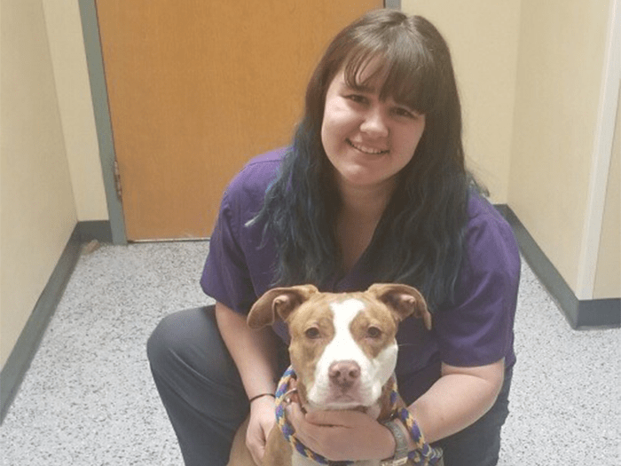 700x525 sylvaniavet MorganS