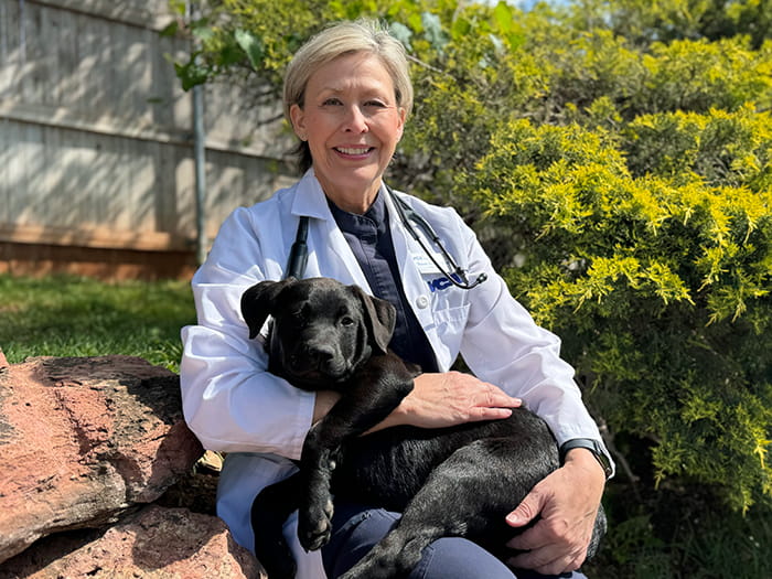 Dr. Tracei Holder Staff Photo