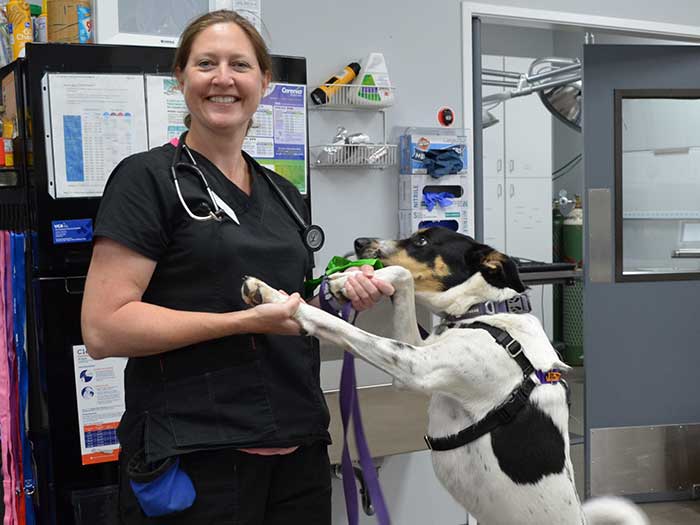 Dr. Lea Sheldahl Staff Photo