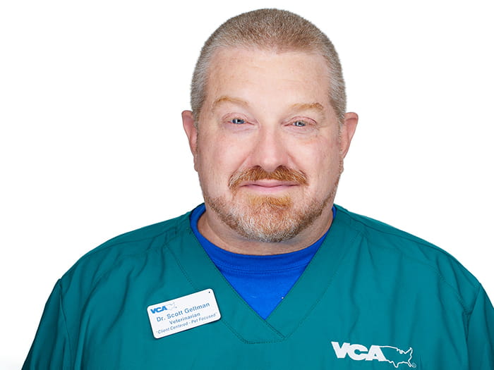 Dr. Scott Gellman Staff Photo