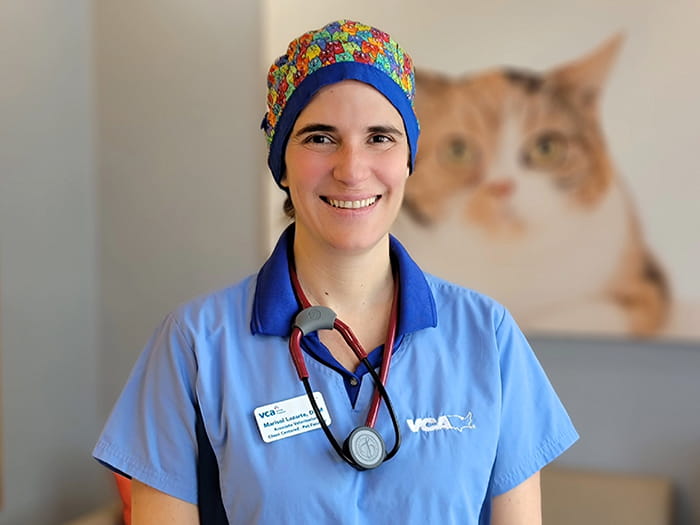 Dr. Marisol Lazarte Staff Photo