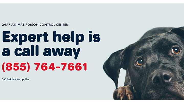 Pet Posion Helpline Community Partner