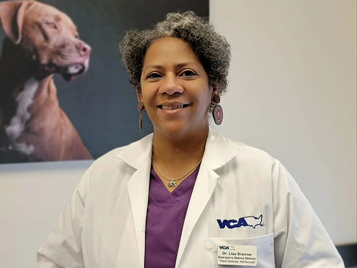 Lisa Branner Staff Photo