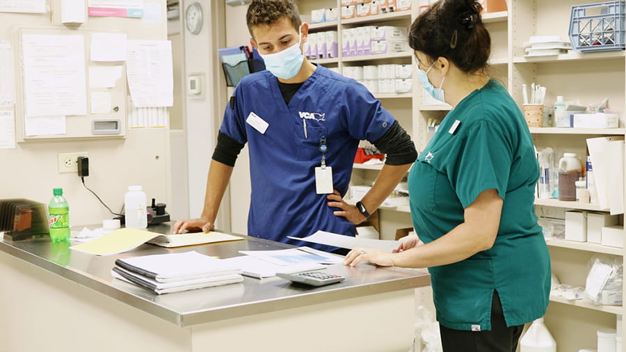 Veterinary staff at VCA Smoketown