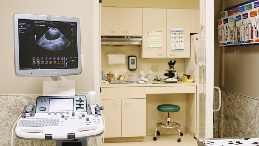 Ultrasound at VCA Smoketown