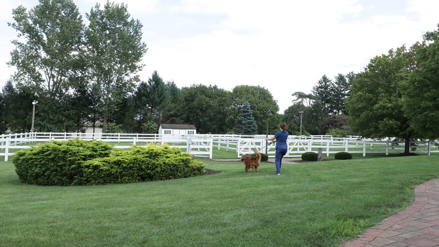 Boarding staff walking dog at VCA Smoketown