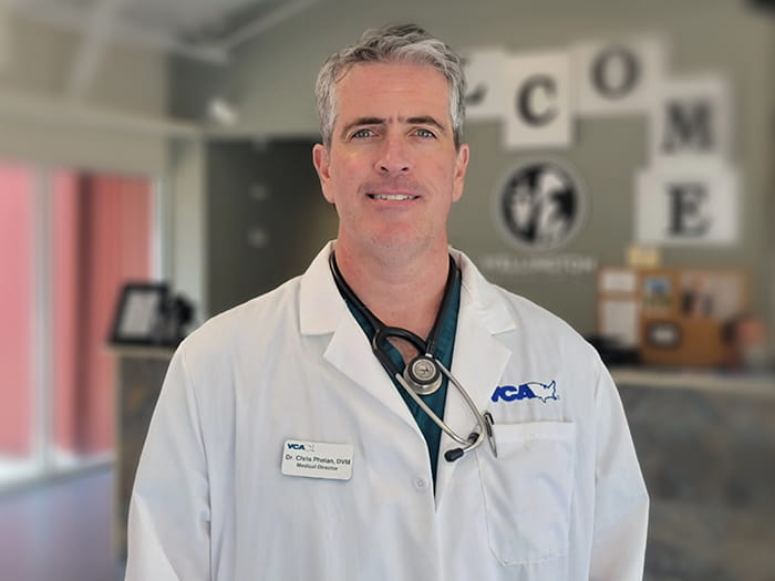 Christopher Phelan Staff Photo 2021