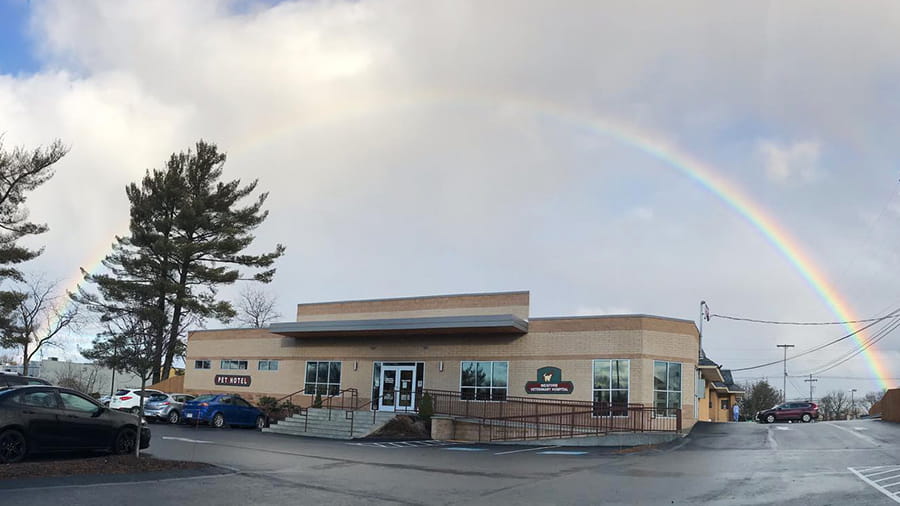 Rainbow over VCA Wexford Animal Hospital