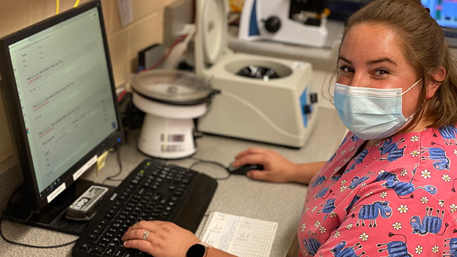 Veterinary support staff working on a computer at VCA Wexford Animal Hospital