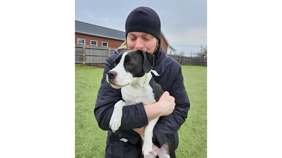 Boarding staff with dog at VCA Wexford Animal Hospital