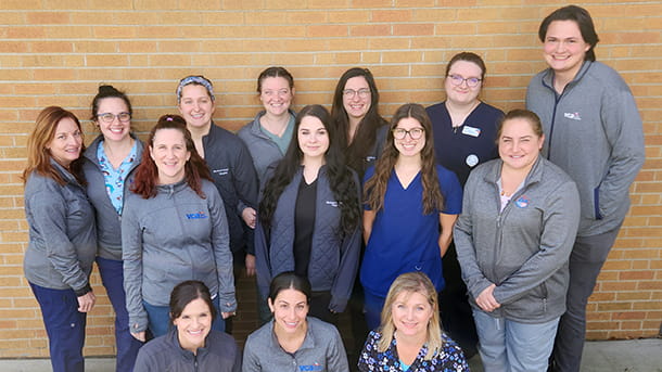 Veterinarian Support Team at VCA Wexford Animal Hospital