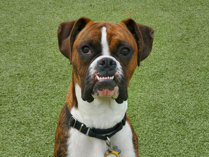 Diane E. Staff Photo