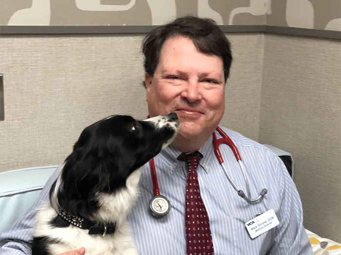 Dr. Mark Girone Staff Photo