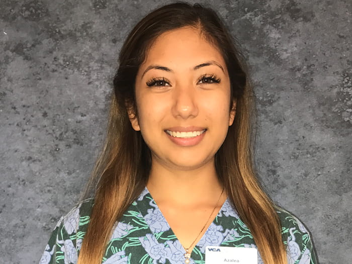 Azalea Sandoval