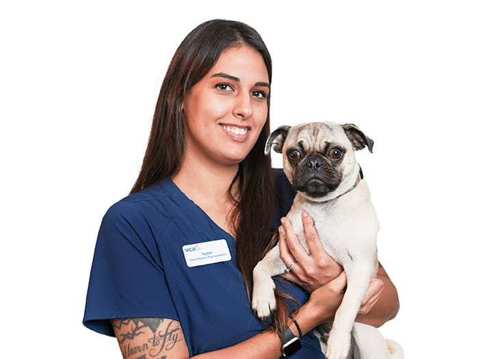 Taylor V. Staff Photo