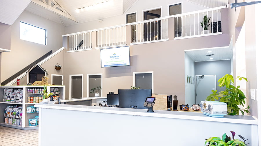 VCA Castle Hills Companion Animal Hospital Lobby