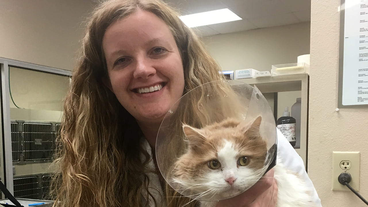 VCA DeSoto veterinarian holding a cat wearing a cone