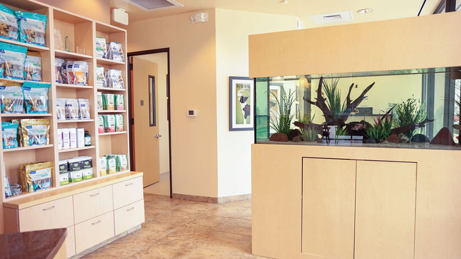 VCA Four Seasons Animal Hospital Lobby