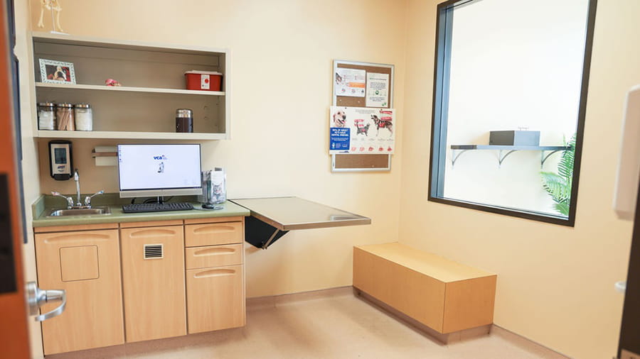 VCA Four Seasons Animal Hospital Exam Room