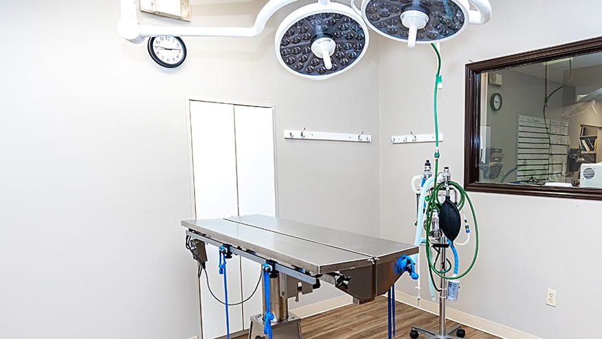 Advanced Care at VCA Henderson Pass Animal Hospital
