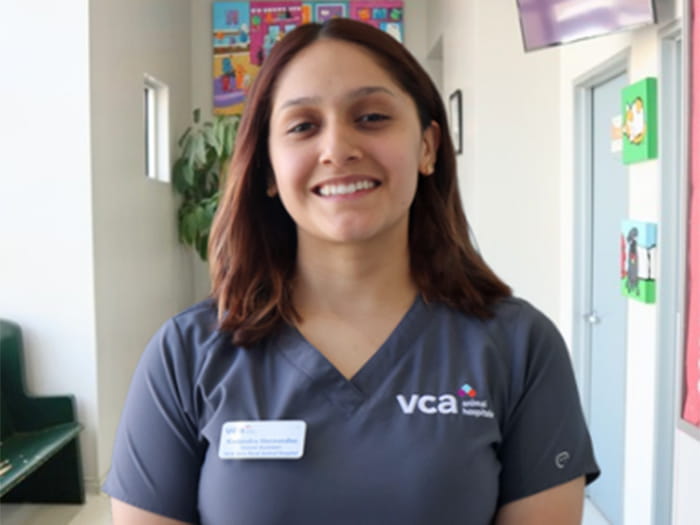 Kassandra Staff Photo