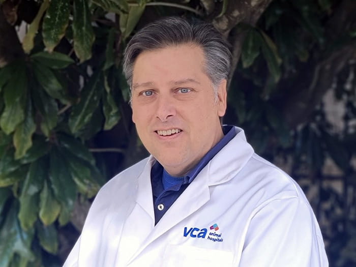 Dr. Powell Knight Staff Photo