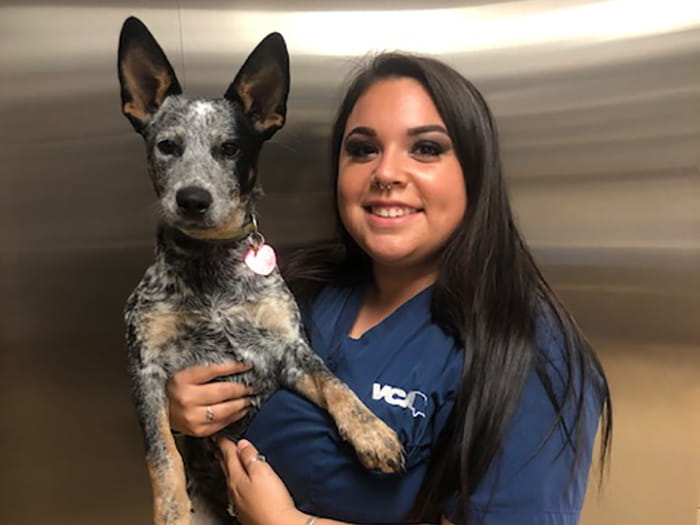 Taylor Hollister Staff Photo