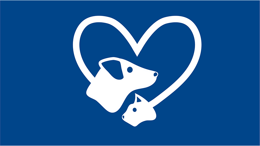 876x493 leon springs GeriatricMedicine