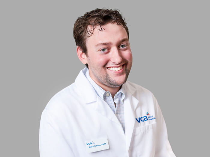 Dr. Blake Gibson Staff Photo