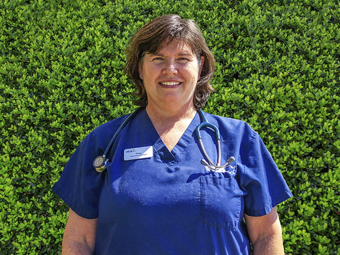 Dana Willett Staff Photo