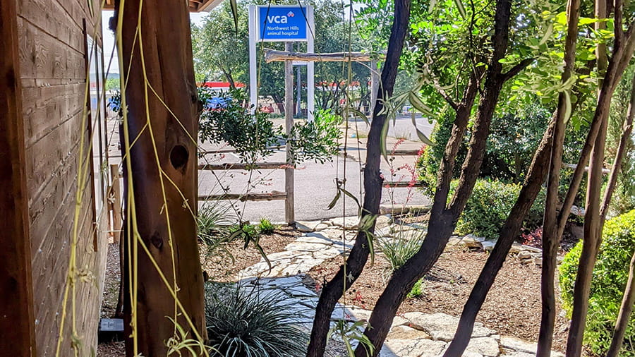 VCA Northwest Hills - Garden and Plants