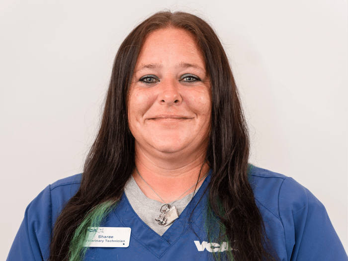 700x525 sequin Sharee