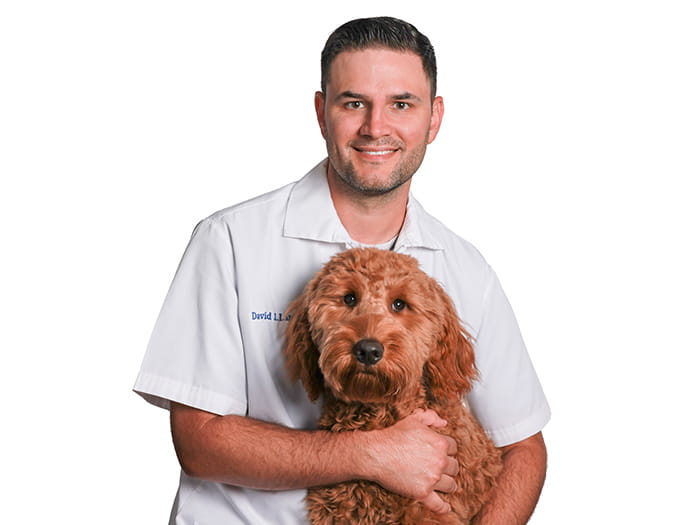 Dr. David Lanerie Staff Photo