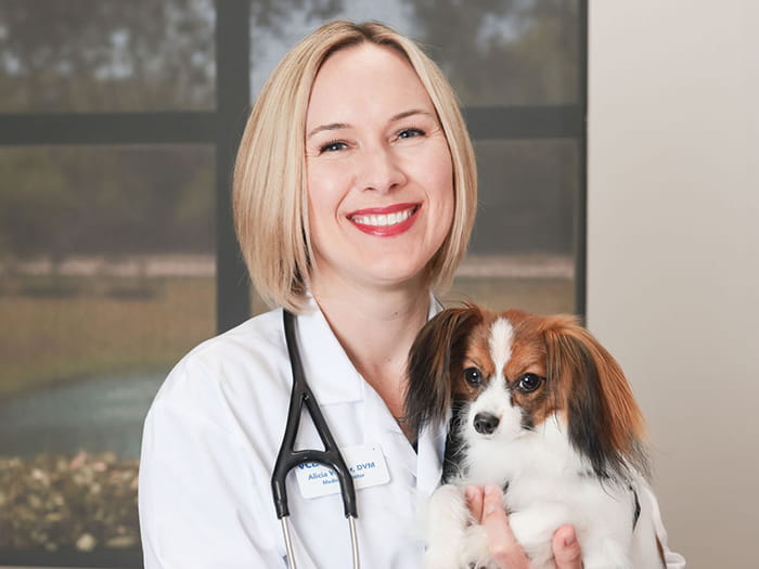 Dr. Walter Staff Photo