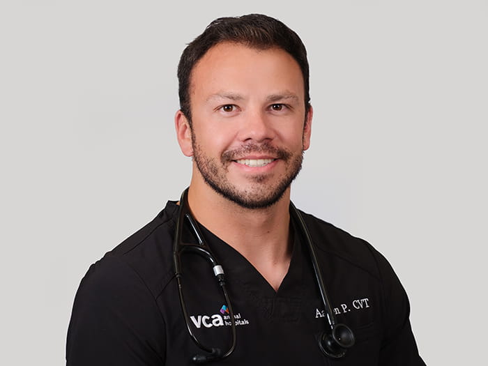 Aaron Parry Staff Photo