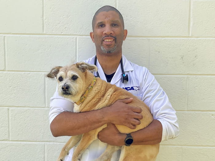 Dr. Alan Thompson Staff Photo