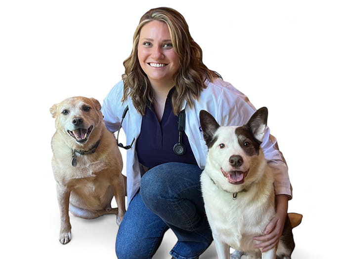 Dr. Jo-Leigh Keeley Staff Photo