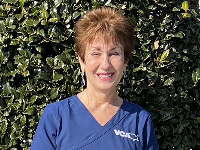 Linda Vogel Staff Photo