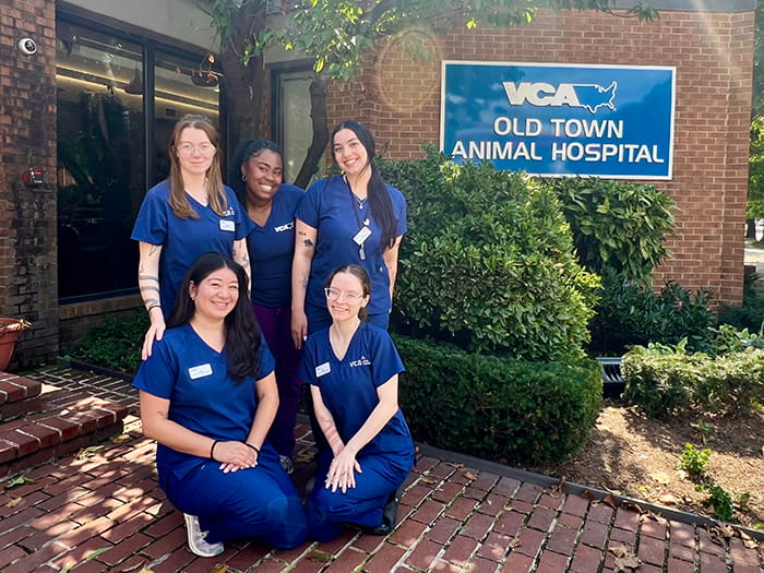 VCA Old Town Animal Hospital Client Services Team