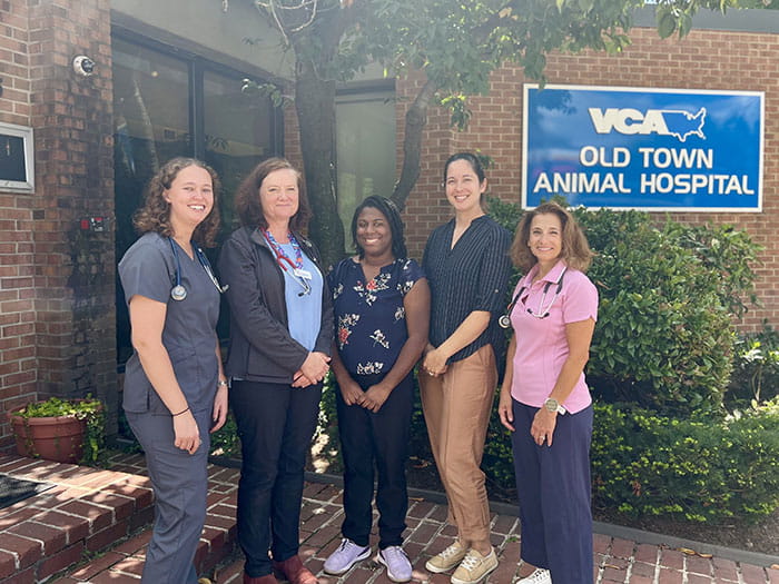 VCA Old Town Animal Hospital Veterinarians