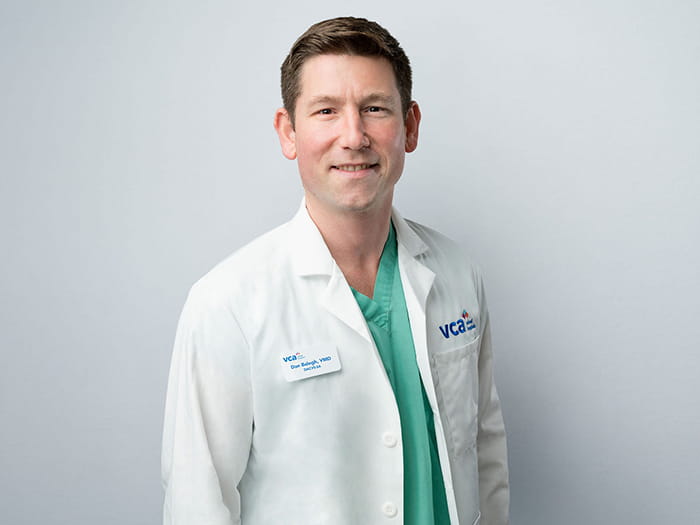 Dr. Daniel Balogh Staff Photo