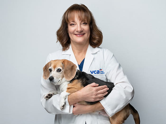 Dr. Deena Tiches Staff Photo