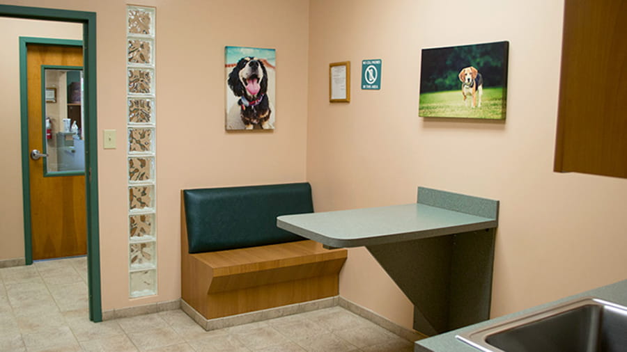 Exam room at VCA White Oak Animal Hospital
