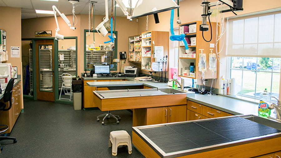 Treatment room at VCA White Oak Animal Hospital