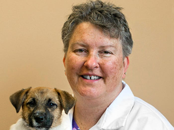 Dr. Melanie Bell Staff Photo