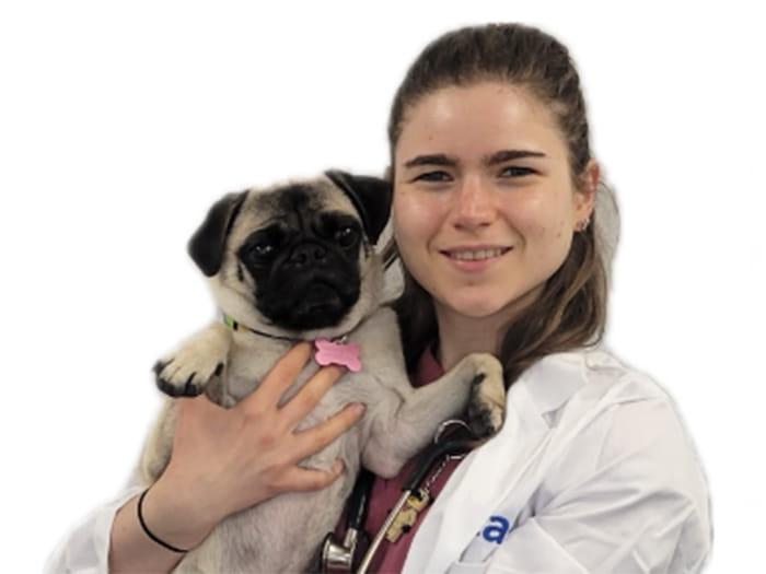 Dr. Logan Bernstein Staff Photo